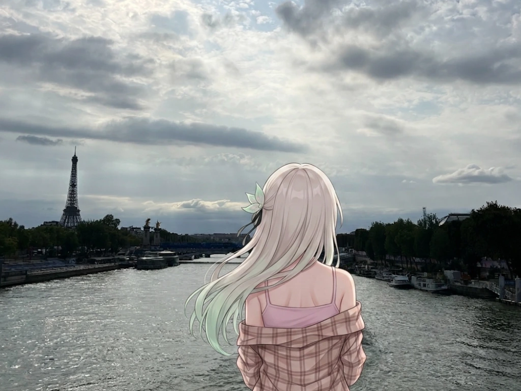 France Vacation
